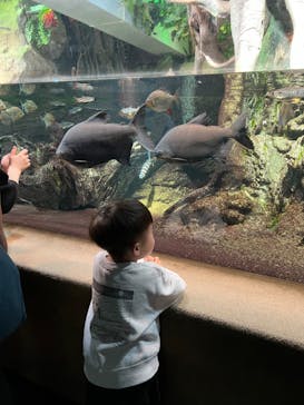 サンシャイン水族館に投稿された画像（2023/11/4）