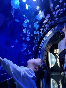 サンシャイン水族館に投稿された画像（2023/11/4）