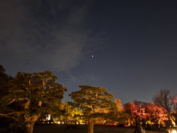 NAKED meets 二条城 2025 観月に投稿された画像（2023/11/4）