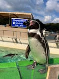 下田海中水族館に投稿された画像（2023/11/4）