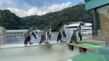 下田海中水族館に投稿された画像（2023/11/4）