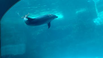 名古屋港水族館に投稿された画像（2023/11/4）