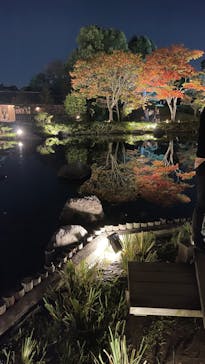 国営昭和記念公園 秋の夜散歩に投稿された画像（2023/11/4）