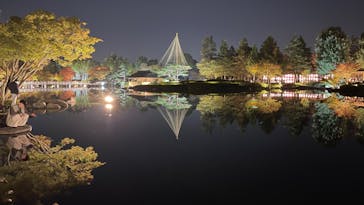 国営昭和記念公園 秋の夜散歩に投稿された画像（2023/11/4）