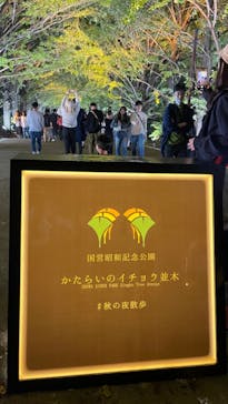 国営昭和記念公園 秋の夜散歩に投稿された画像（2023/11/4）