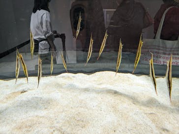 AOAO SAPPOROに投稿された画像（2023/11/4）