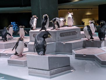 AOAO SAPPOROに投稿された画像（2023/11/4）