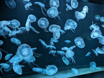 AOAO SAPPOROに投稿された画像（2023/11/4）