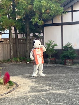 伊勢忍者キングダムに投稿された画像（2023/11/4）