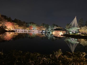 国営昭和記念公園 秋の夜散歩に投稿された画像（2023/11/4）