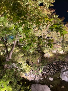 国営昭和記念公園 秋の夜散歩に投稿された画像（2023/11/4）