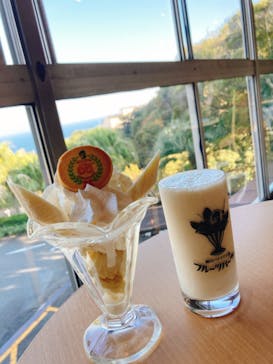 熱川バナナワニ園に投稿された画像（2023/11/4）