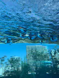 サンシャイン水族館に投稿された画像（2023/11/4）