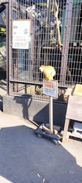 伊豆シャボテン動物公園に投稿された画像（2023/11/4）