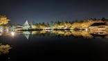 国営昭和記念公園 秋の夜散歩に投稿された画像（2023/11/4）