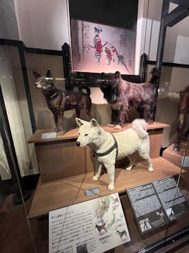 国立科学博物館に投稿された画像（2023/11/4）