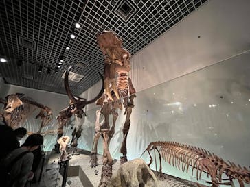 国立科学博物館に投稿された画像（2023/11/4）