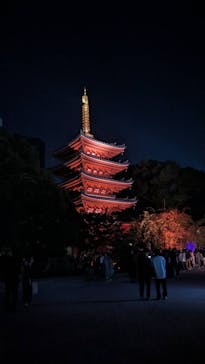 博多ライトアップウォーク実行委員会に投稿された画像（2023/11/4）