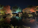 国営昭和記念公園 秋の夜散歩に投稿された画像（2023/11/4）