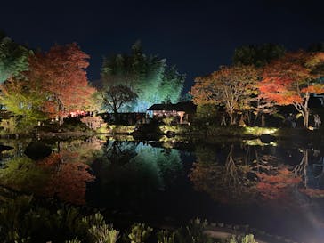 国営昭和記念公園 秋の夜散歩に投稿された画像（2023/11/4）