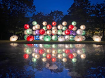 国営昭和記念公園 秋の夜散歩に投稿された画像（2023/11/4）