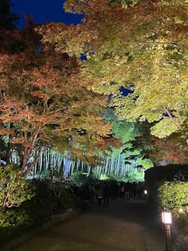 国営昭和記念公園 秋の夜散歩に投稿された画像（2023/11/4）