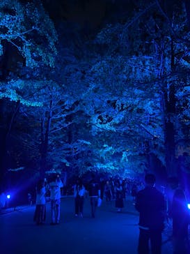 国営昭和記念公園 秋の夜散歩に投稿された画像（2023/11/4）