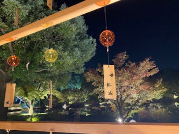 国営昭和記念公園 秋の夜散歩に投稿された画像（2023/11/4）