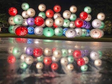 国営昭和記念公園 秋の夜散歩に投稿された画像（2023/11/4）