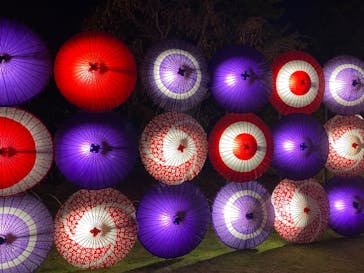 国営昭和記念公園 秋の夜散歩に投稿された画像（2023/11/4）