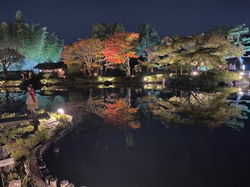 国営昭和記念公園 秋の夜散歩に投稿された画像（2023/11/4）