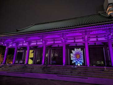 博多ライトアップウォーク実行委員会に投稿された画像（2023/11/4）