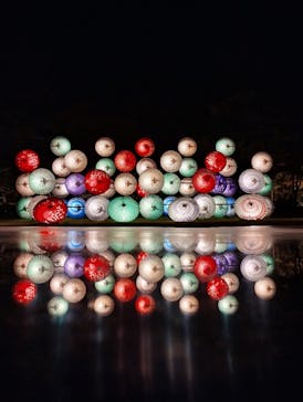 国営昭和記念公園 秋の夜散歩に投稿された画像（2023/11/4）