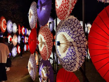 国営昭和記念公園 秋の夜散歩に投稿された画像（2023/11/4）