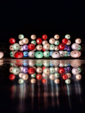 国営昭和記念公園 秋の夜散歩に投稿された画像（2023/11/4）