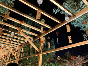 国営昭和記念公園 秋の夜散歩に投稿された画像（2023/11/4）