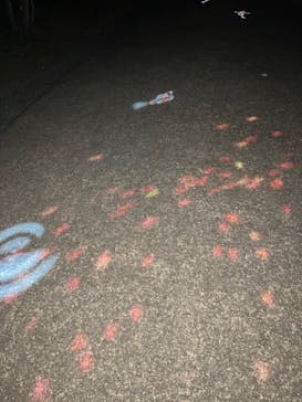 国営昭和記念公園 秋の夜散歩に投稿された画像（2023/11/4）