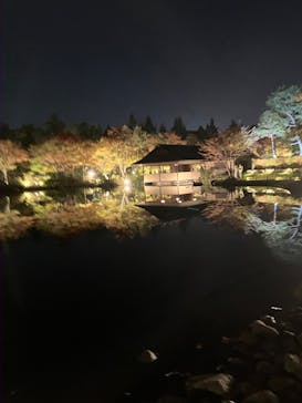 国営昭和記念公園 秋の夜散歩に投稿された画像（2023/11/4）