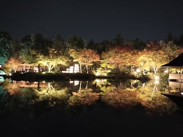 国営昭和記念公園 秋の夜散歩に投稿された画像（2023/11/4）