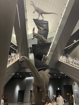 福井県立恐竜博物館に投稿された画像（2023/11/4）