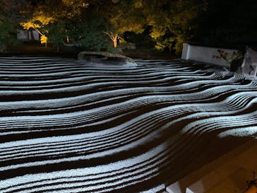 博多ライトアップウォーク実行委員会に投稿された画像（2023/11/4）