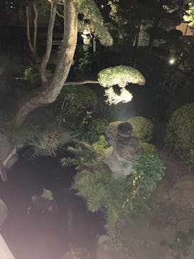 博多ライトアップウォーク実行委員会に投稿された画像（2023/11/4）