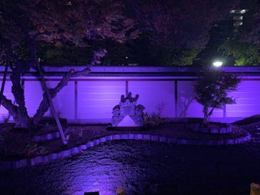 博多ライトアップウォーク実行委員会に投稿された画像（2023/11/4）