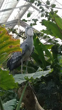 神戸どうぶつ王国に投稿された画像（2023/11/4）