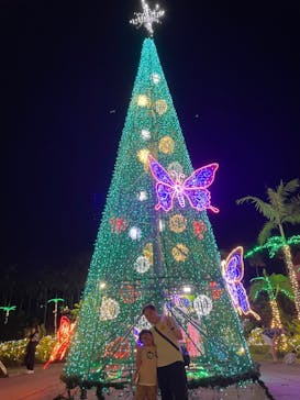 美らヤシパークオキナワ・東南植物楽園に投稿された画像（2023/11/4）