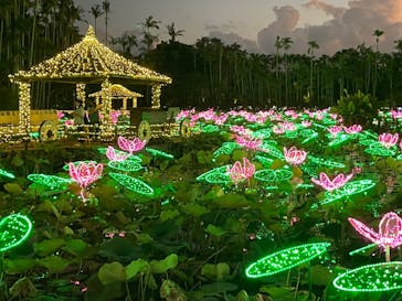 美らヤシパークオキナワ・東南植物楽園に投稿された画像（2023/11/4）