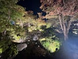国営昭和記念公園 秋の夜散歩に投稿された画像（2023/11/4）