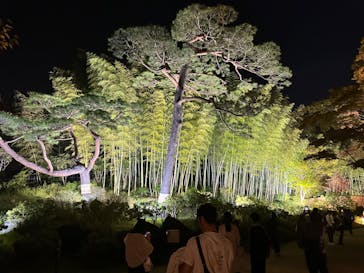 国営昭和記念公園 秋の夜散歩に投稿された画像（2023/11/4）