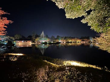 国営昭和記念公園 秋の夜散歩に投稿された画像（2023/11/4）