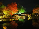 国営昭和記念公園 秋の夜散歩に投稿された画像（2023/11/4）